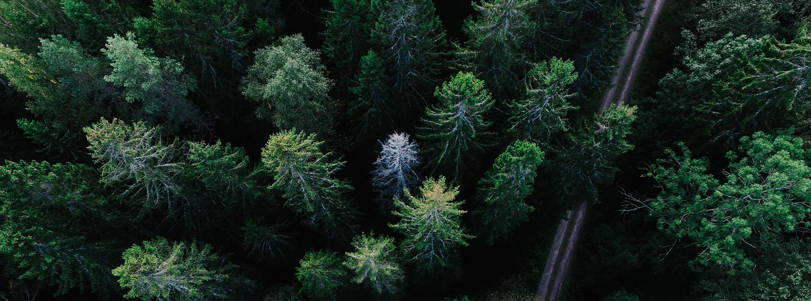 Teknologi Tekstil Jiangsu Xiangyi (Group) Co., Ltd.